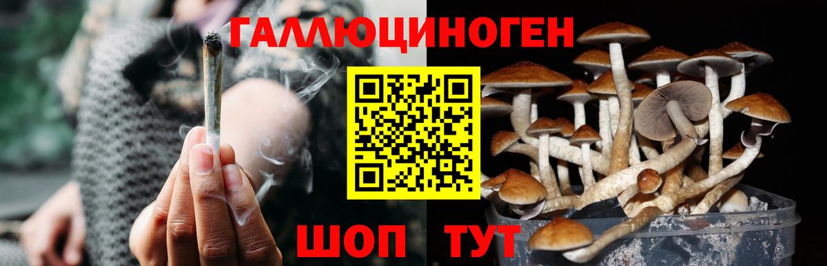 Галлюциногенные грибы Magic Shrooms  Вход с VPN  Тамбов 